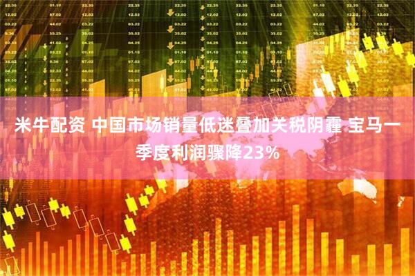 米牛配资 中国市场销量低迷叠加关税阴霾 宝马一季度利润骤降23%