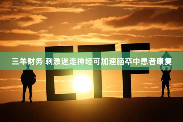 三羊财务 刺激迷走神经可加速脑卒中患者康复