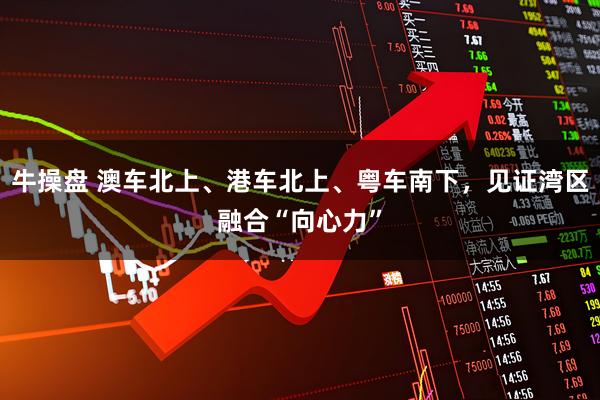 牛操盘 澳车北上、港车北上、粤车南下，见证湾区融合“向心力”