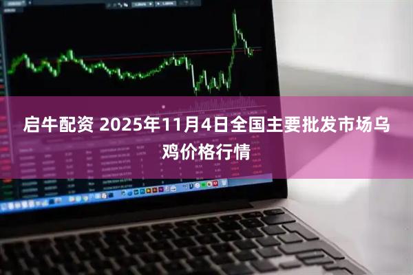 启牛配资 2025年11月4日全国主要批发市场乌鸡价格行情