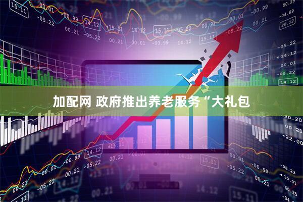 加配网 政府推出养老服务“大礼包